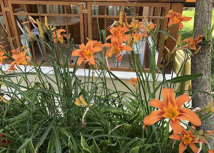 纳尔公寓式酒店